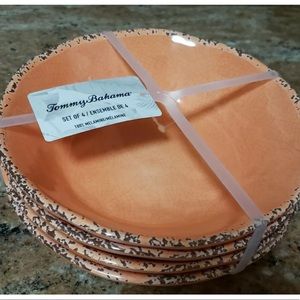 Tommy Bahama Crackle Melamine Bowls